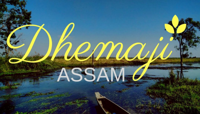 National Packers and Movers in Dhemaji