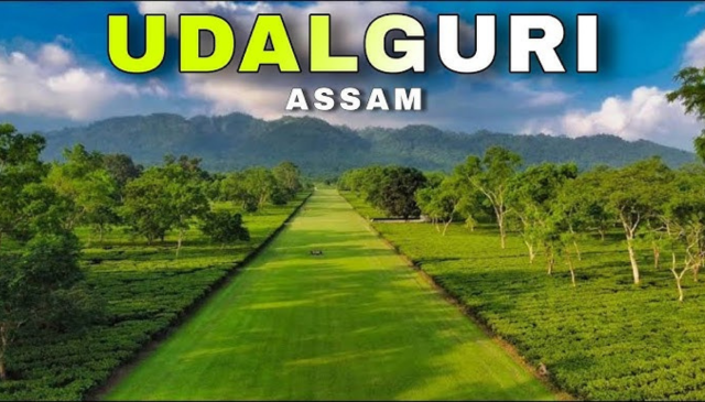 National Packers and Movers in Udalguri